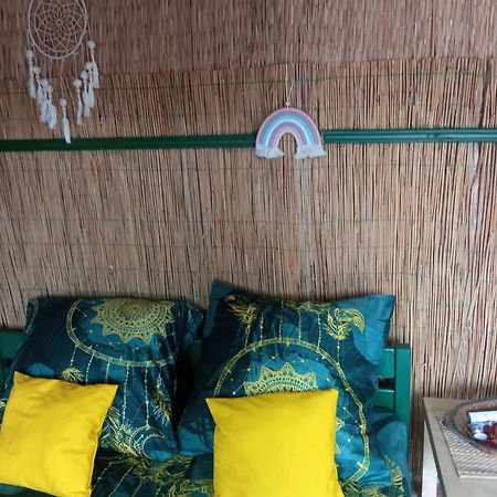 Casa Delta 106 Otel Sfântu Gheorghe Oda fotoğraf