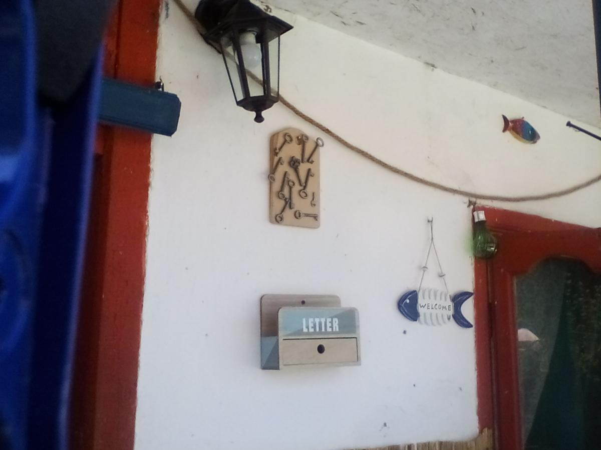 Casa Delta 106 Otel Sfântu Gheorghe Dış mekan fotoğraf